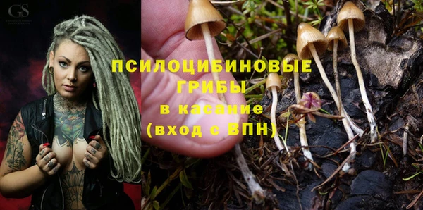 метамфетамин Козельск