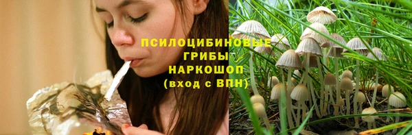 a pvp Кодинск